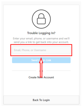 Enter email-Instagram login solution